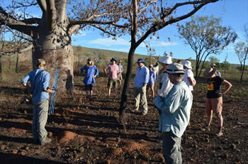 Tracking Native Animals after a servere bushfire