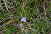 Berringa Sanctuary 