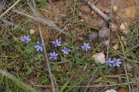 Berringa Sanctuary 