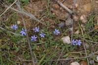 Berringa Sanctuary 