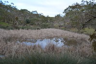 Berringa Sanctuary