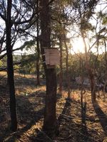 Bird Boxes - Berringa Sanctuary Berringa