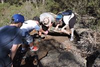 Flipping rocks - Mount cole