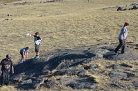 Herping on Mt Beckworth