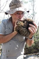 Kisses for our beautiful wildlife Echidna - Mount cole