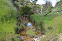 Moonlight Creek - The Block Sanctuary Berringa 