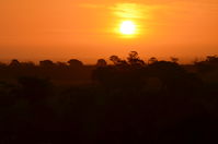Sunset - Berringa Sanctuary 