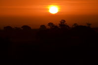 Sunset - Berringa Sanctuary 