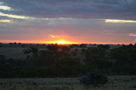 Sunset - Berringa Sanctuary