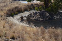 The Block - Berringa Sanctuary 