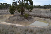 The Block - Berringa Sanctuary 