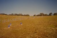 Berringa - This is how it looked in 2000, overgrazed, just as we started planting a 1000 trees.