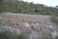 The block - Berringa Sanctuary 