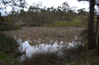 The block - Berringa Sanctuary 