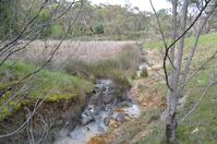 The block - Berringa Sanctuary 