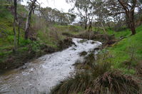 The block - Berringa Sanctuary 