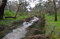 The block - Berringa Sanctuary 