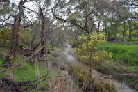 The block - Berringa Sanctuary 