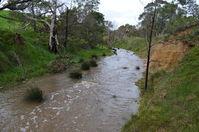 The block - Berringa Sanctuary 