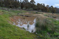 The block - Berringa Sanctuary 