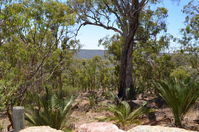 Walyunga National Park - W.A