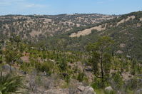 Walyunga National Park- W.A