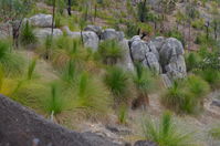 walyunga National Park - W.A