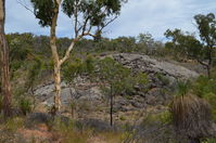 Walyunga National Park - W.A 