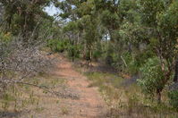 Walyunga National Park - W.A 