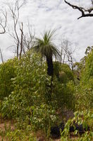 Walyunga National Park - W.A