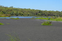 Yanchep National Park W.A